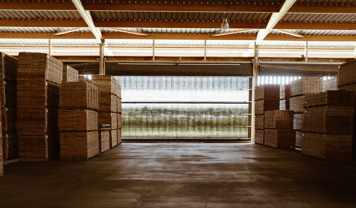 French Oak Sawn Boards