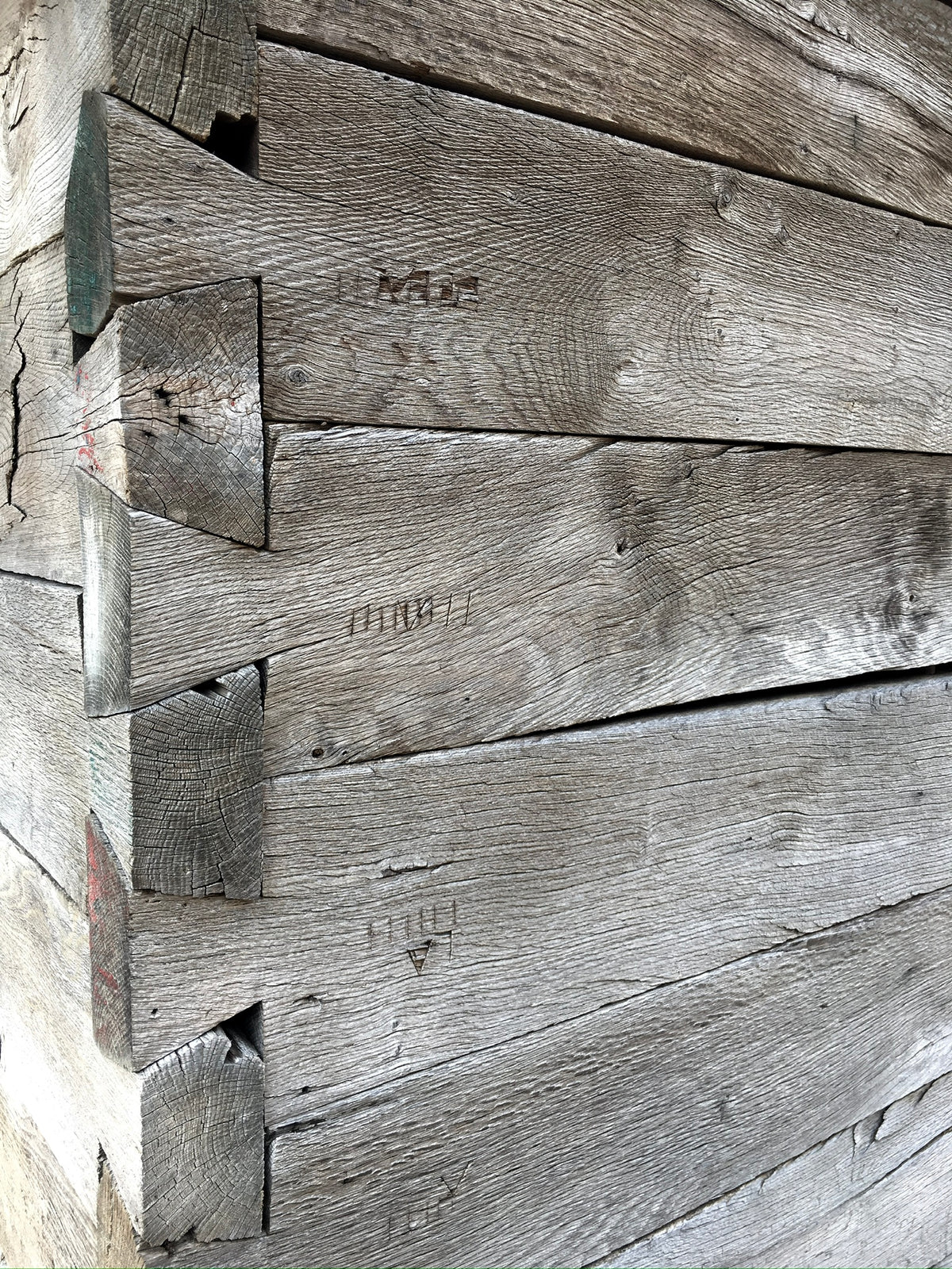 European Oak