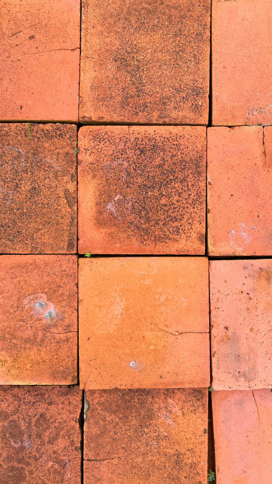 Reclaimed Terracotta Tiles
