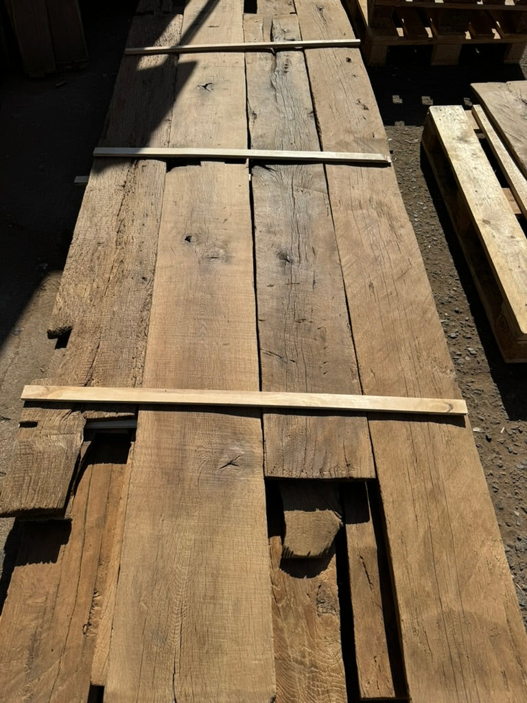 European Oak