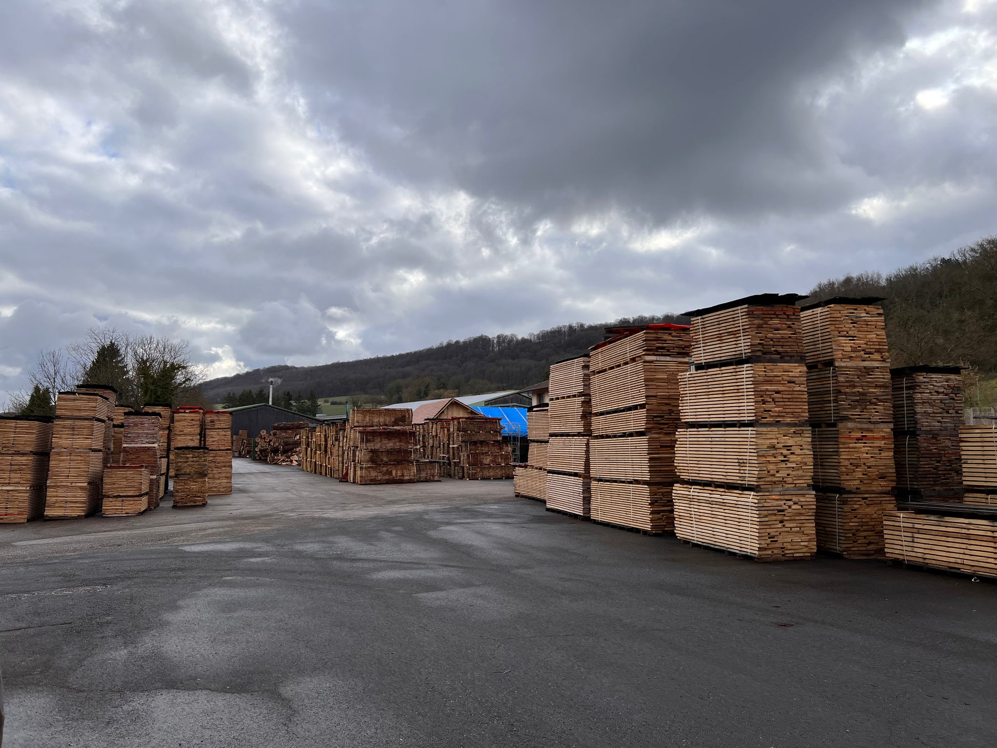 Old Growth French Oak Lumber, view 4
